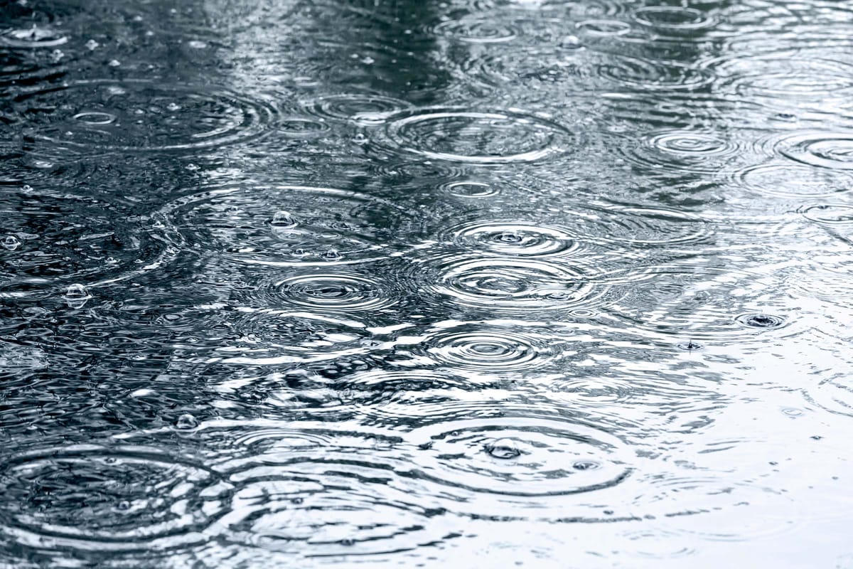 RAIN CANCELS SLINGER RACE