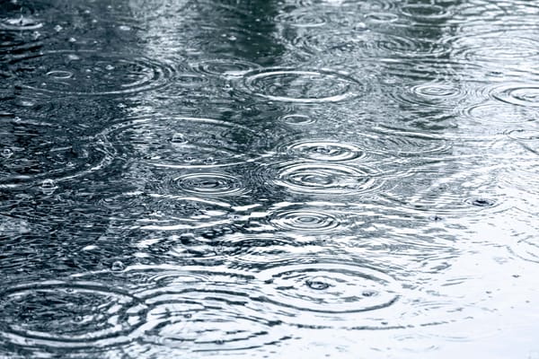 RAIN CANCELS SLINGER RACE